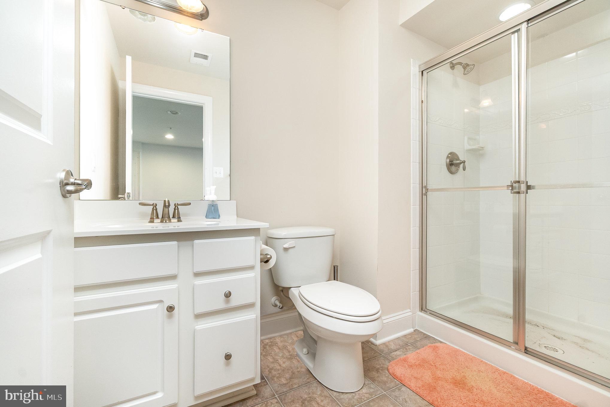 10535 Windlass Run Road Baltimore, MD 21220 - Photo 35 of 42 a bathroom with a sink a toilet and shower