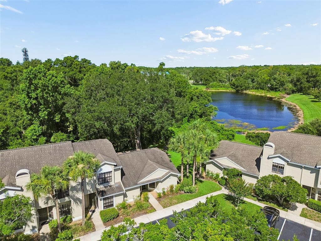 5100 Burchette Road, Unit 3207 Tampa, FL 33647 - Photo 47 of 62 Gallery Image 47