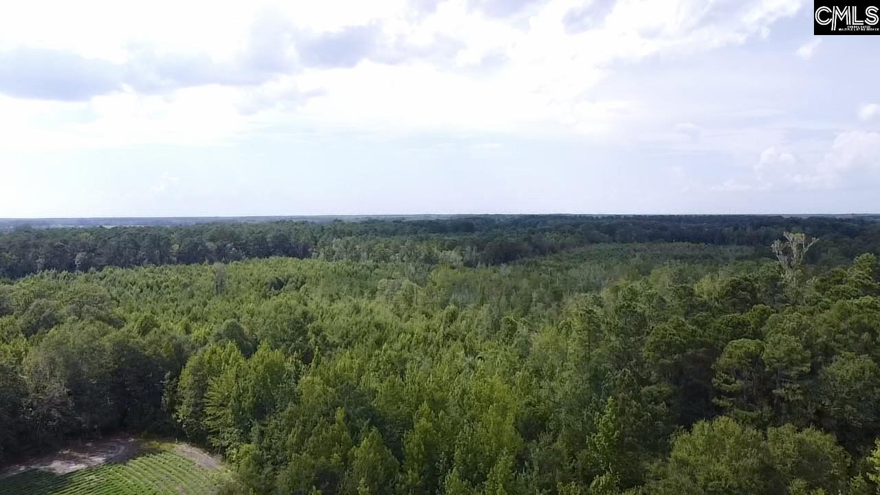 Tbd Baxley Road Bowman, SC 29018 - Photo 2 of 3
