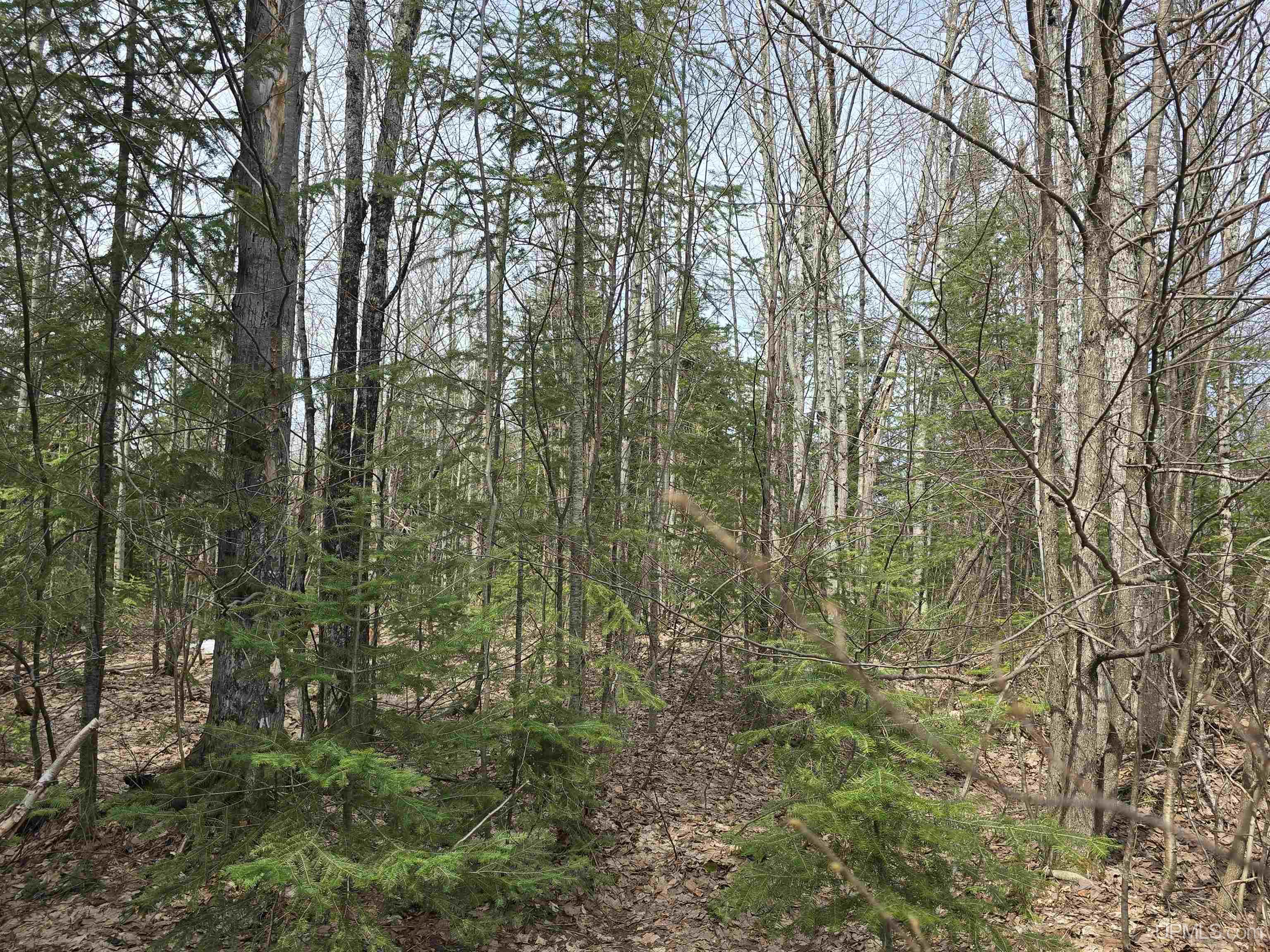 Tbd Woodspur Road Ontonagon, MI 49953 - Photo 31 of 46