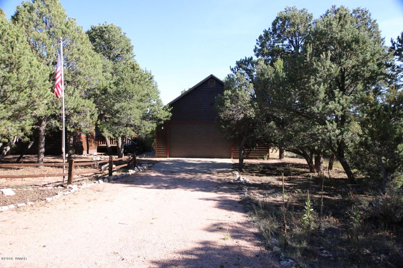 2885 Cedar Ridge Drive Overgaard, AZ 85933 - Photo 36 of 43 a view of a patio with a tree