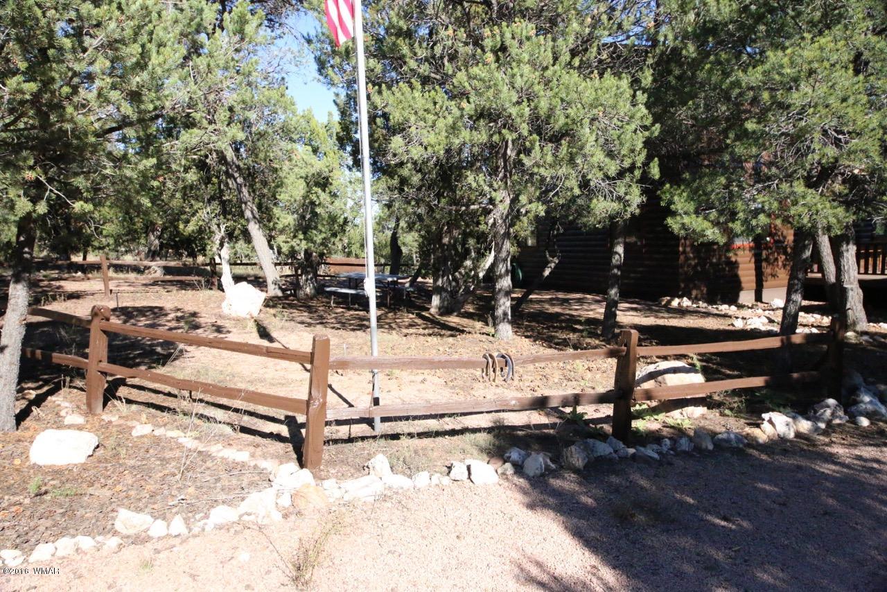 2885 Cedar Ridge Drive Overgaard, AZ 85933 - Photo 40 of 43 a view of a park with swings and slides