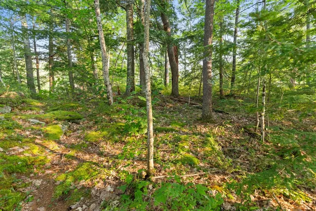 $1,650,000 | 27 First Pt Road, Moultonborough, NH 03254