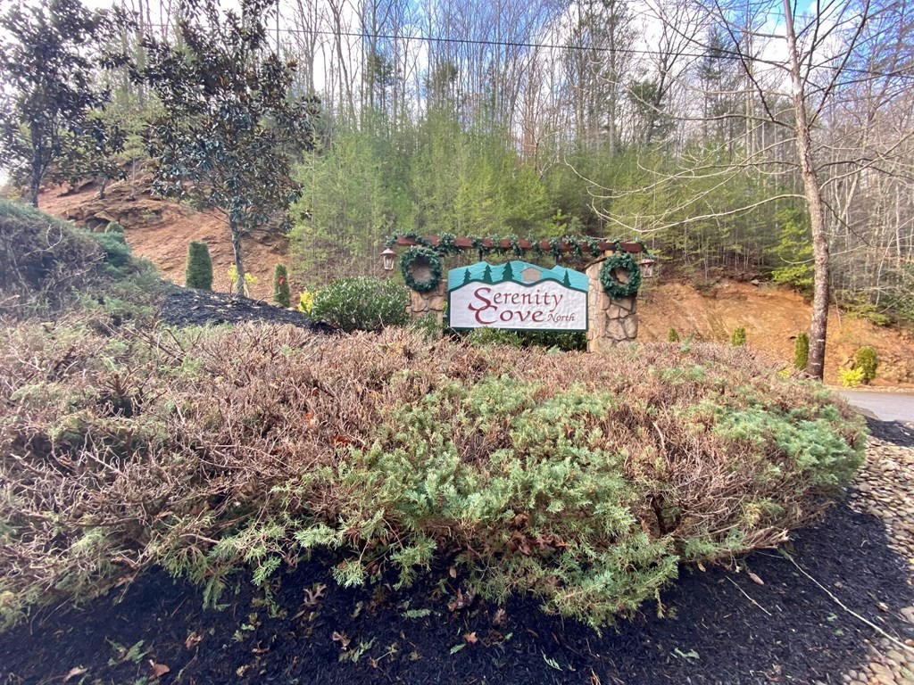 1829 Pinestand Rdg Way Sevierville, TN 37862 - Photo 6 of 7