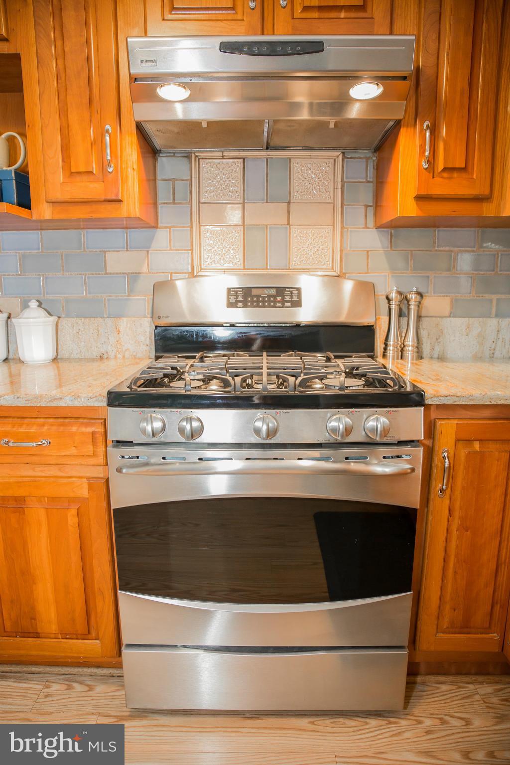 1119 Netherlands Court Silver Spring, MD 20905 - Photo 11 of 30 Glass tile with Custom Inlay Above Stove