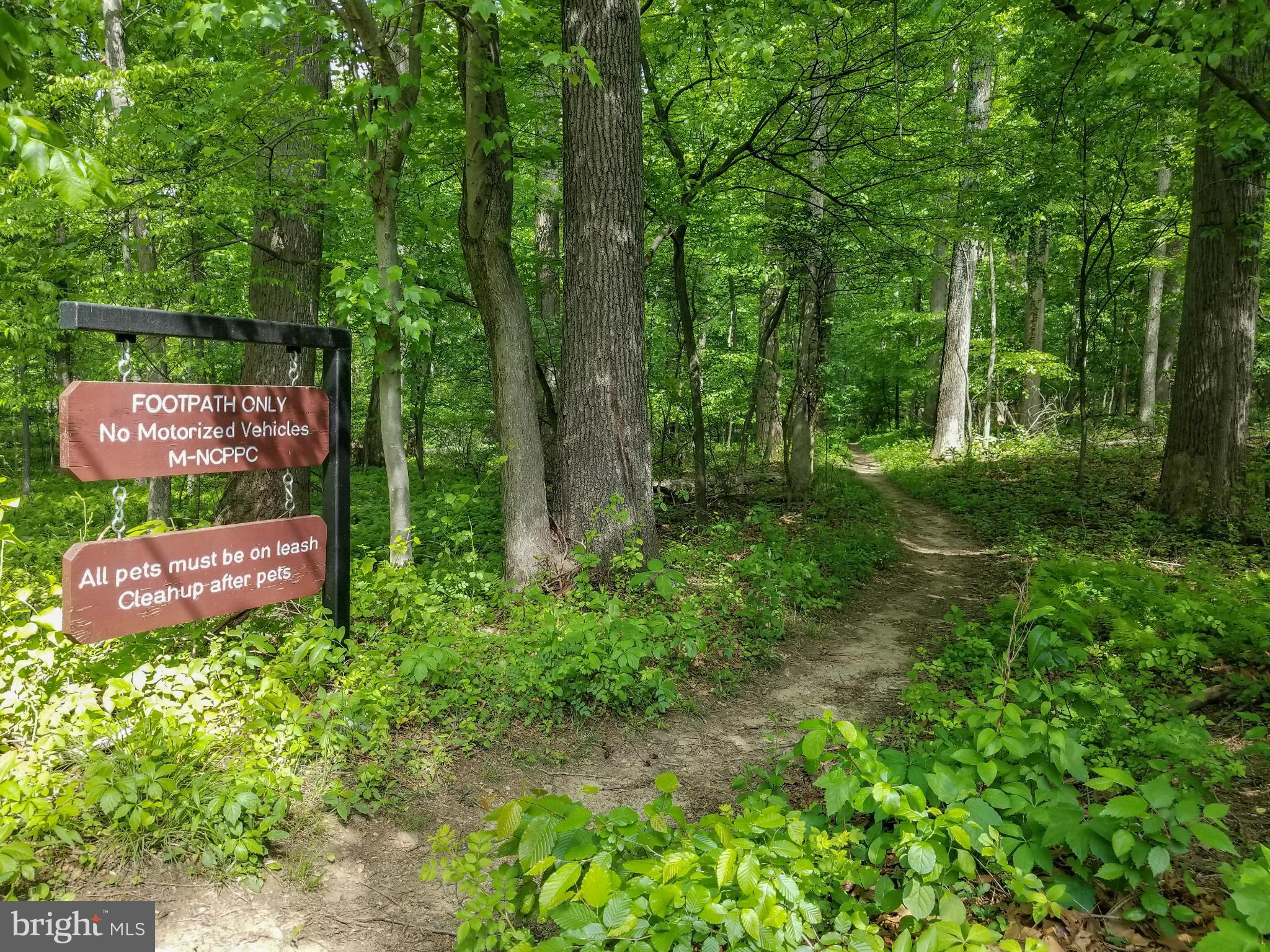 1119 Netherlands Court Silver Spring, MD 20905 - Photo 23 of 30 Maydale Nature Center