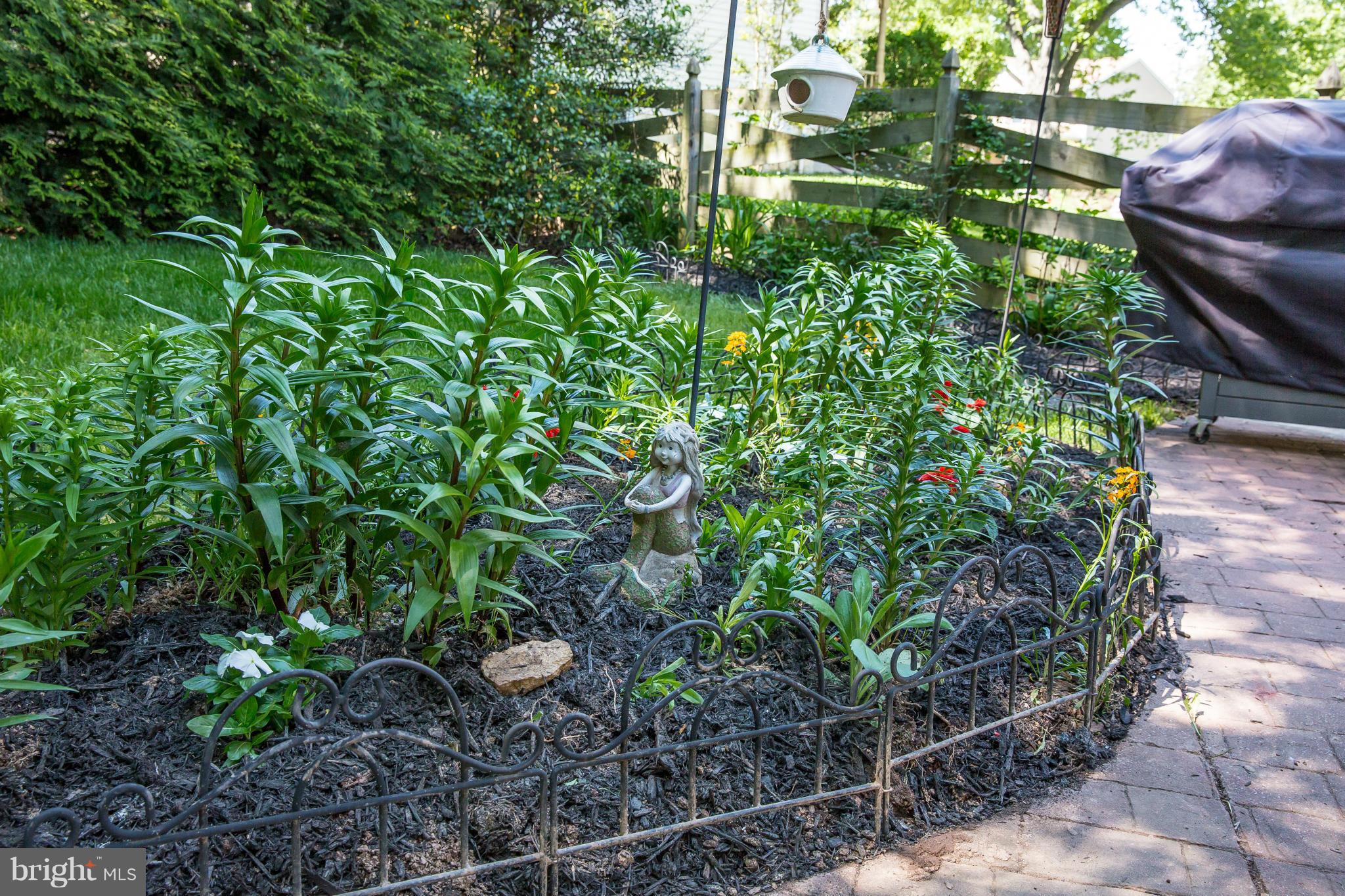 1119 Netherlands Court Silver Spring, MD 20905 - Photo 6 of 30 Lily Garden