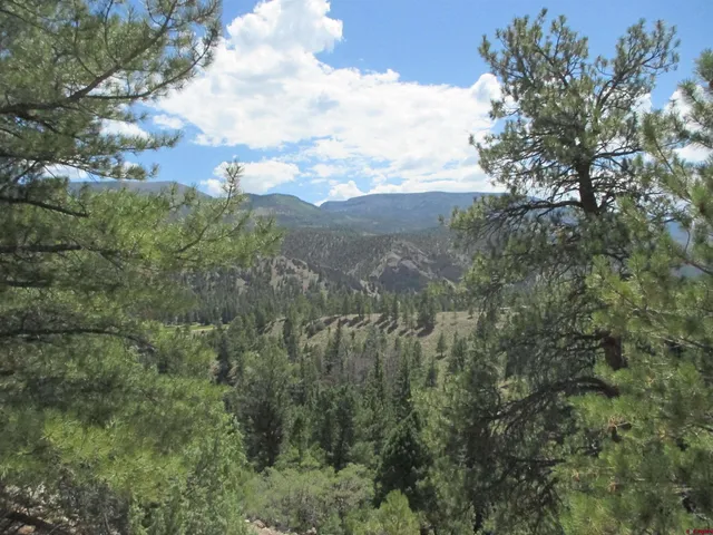 a view of a city with lush green forest