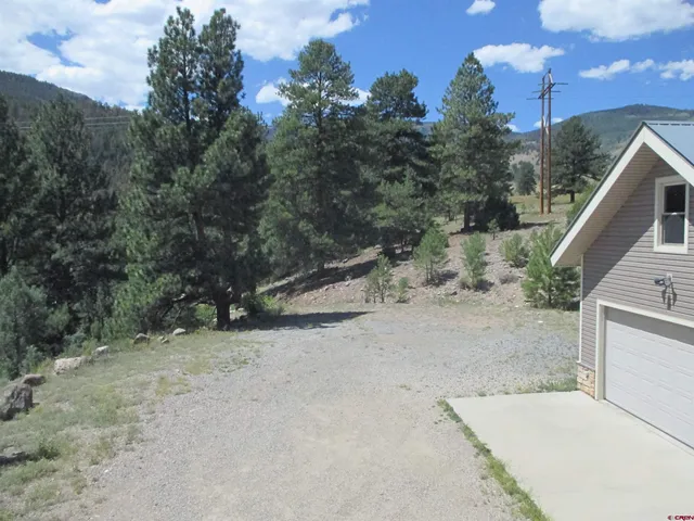 a view of a yard with a tree