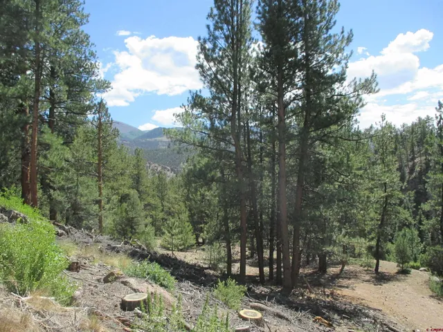 a view of a covered with snow