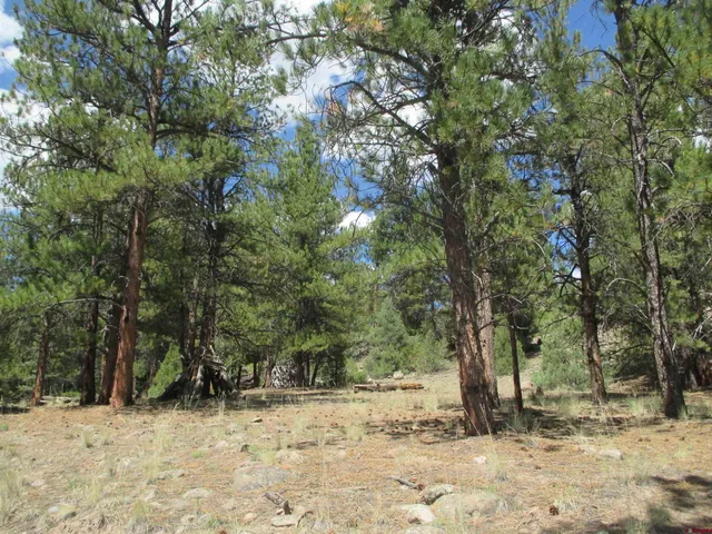 a view of a road with plants and trees