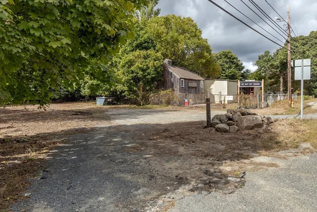 a view of a backyard and a tree