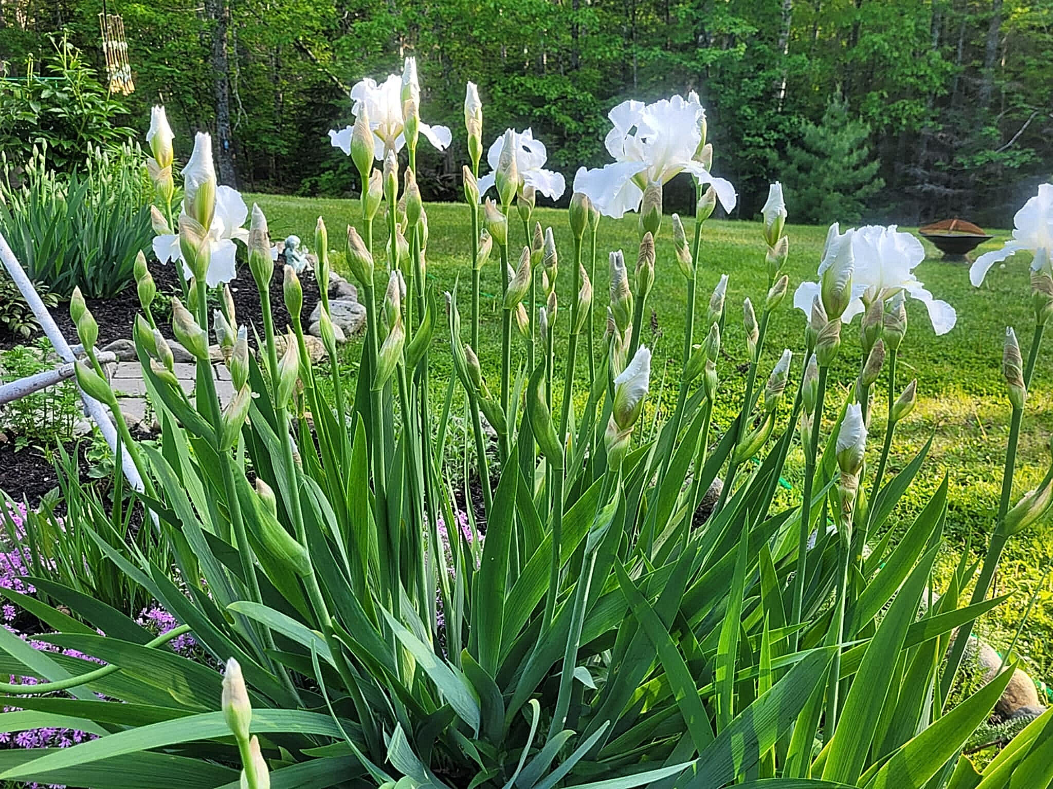 1511 Main Road Westport Island, ME 04578 - Photo 62 of 69 xx