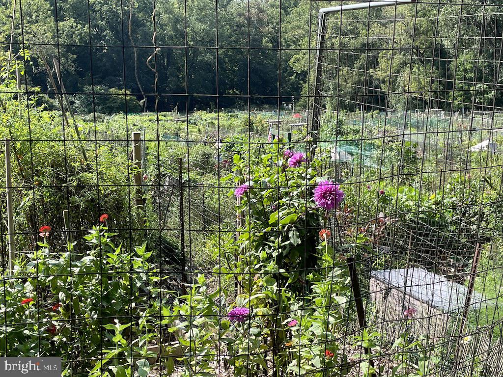 4000 Tunlaw Road Northwest, Unit 516 Washington, DC 20007 - Photo 24 of 35 a view of garden
