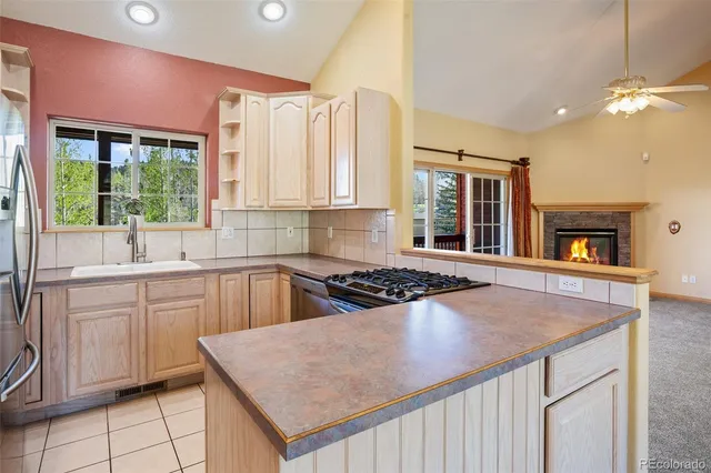 a kitchen with a stove a sink and a refrigerator