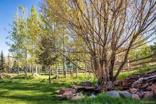 a view of a backyard with plants and lake