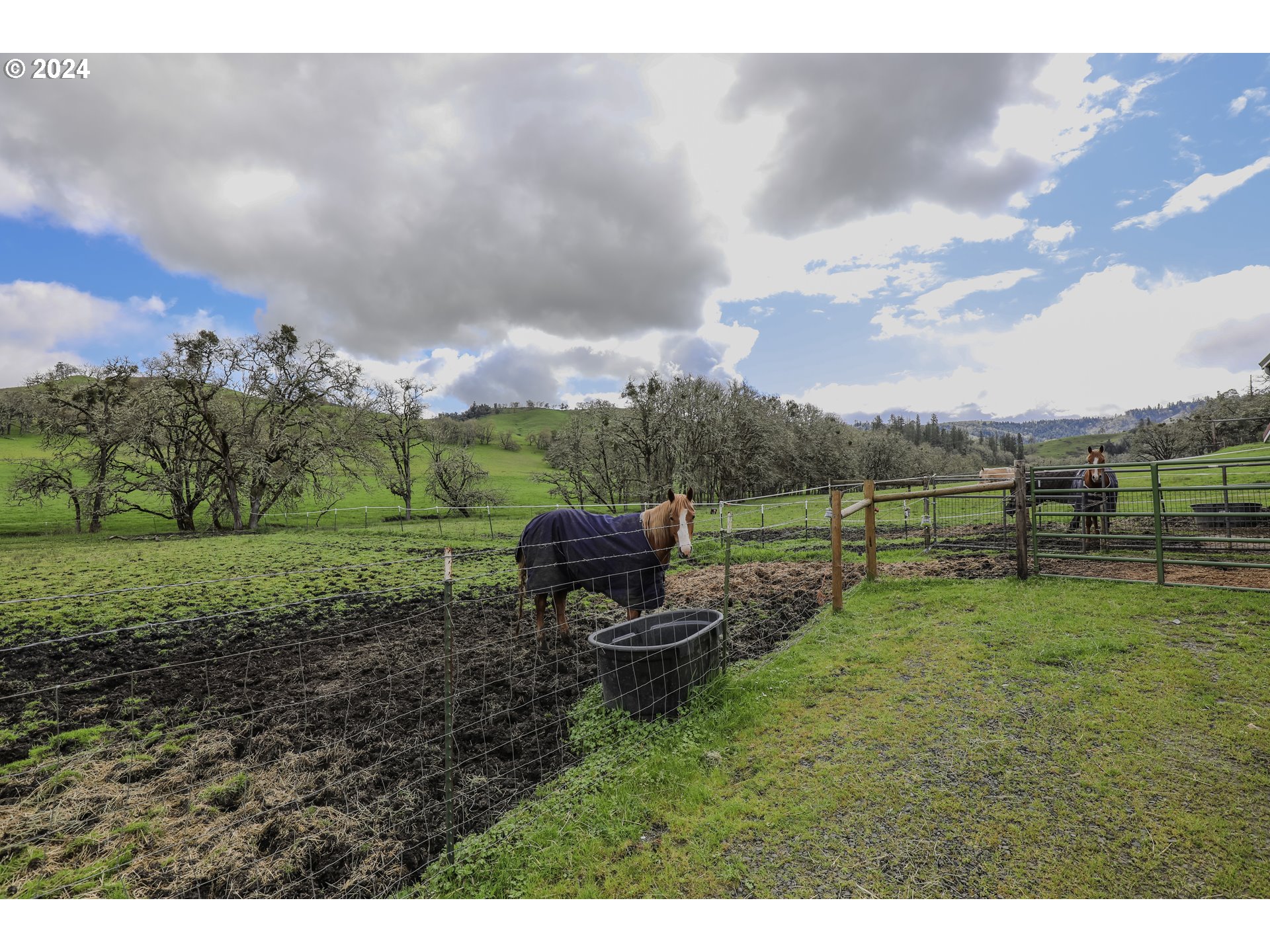 405 Dawson Road Roseburg, OR 97470 - Photo 31 of 46 Gallery Image 31