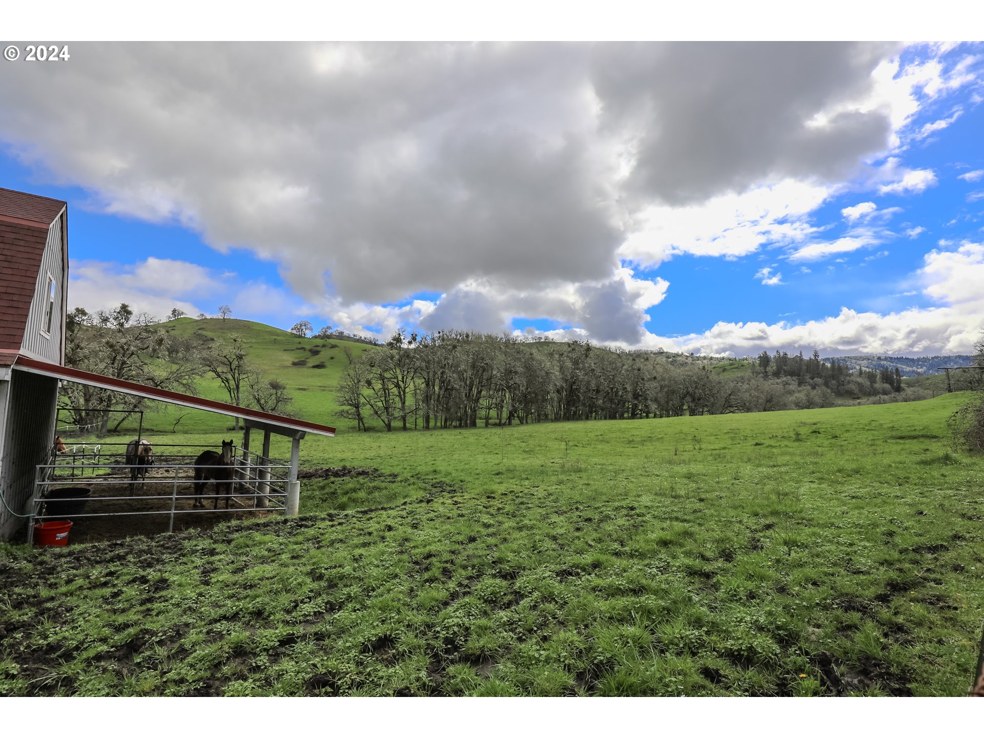 405 Dawson Road Roseburg, OR 97470 - Photo 32 of 46 Gallery Image 32