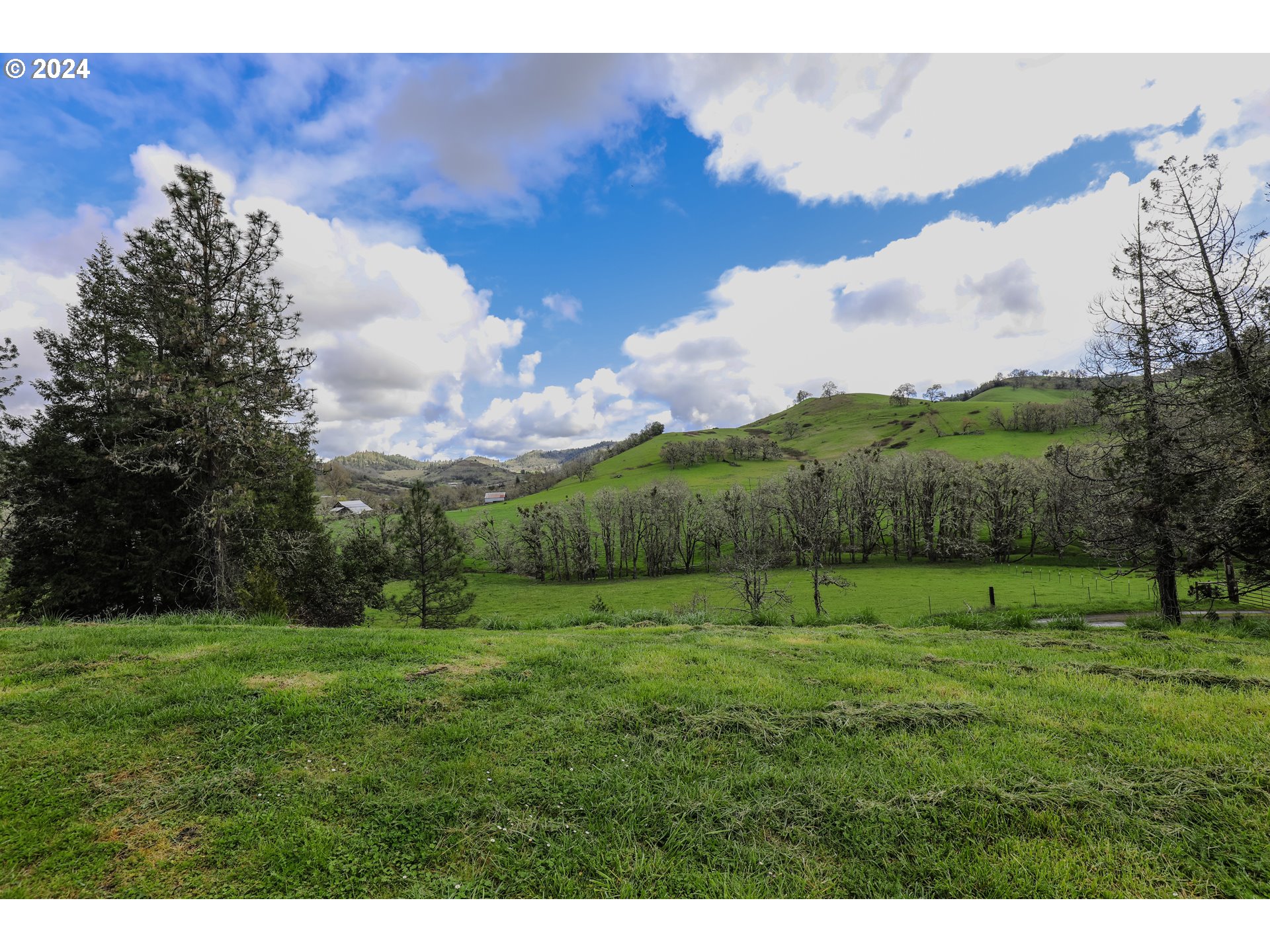 405 Dawson Road Roseburg, OR 97470 - Photo 39 of 46 Gallery Image 39