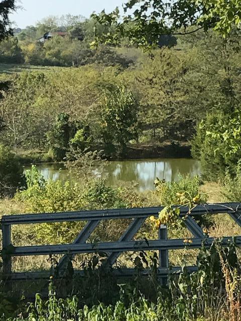 0 North Farm Road 229 Fair Grove, MO 65648 - Photo 1 of 1 IMG_5071