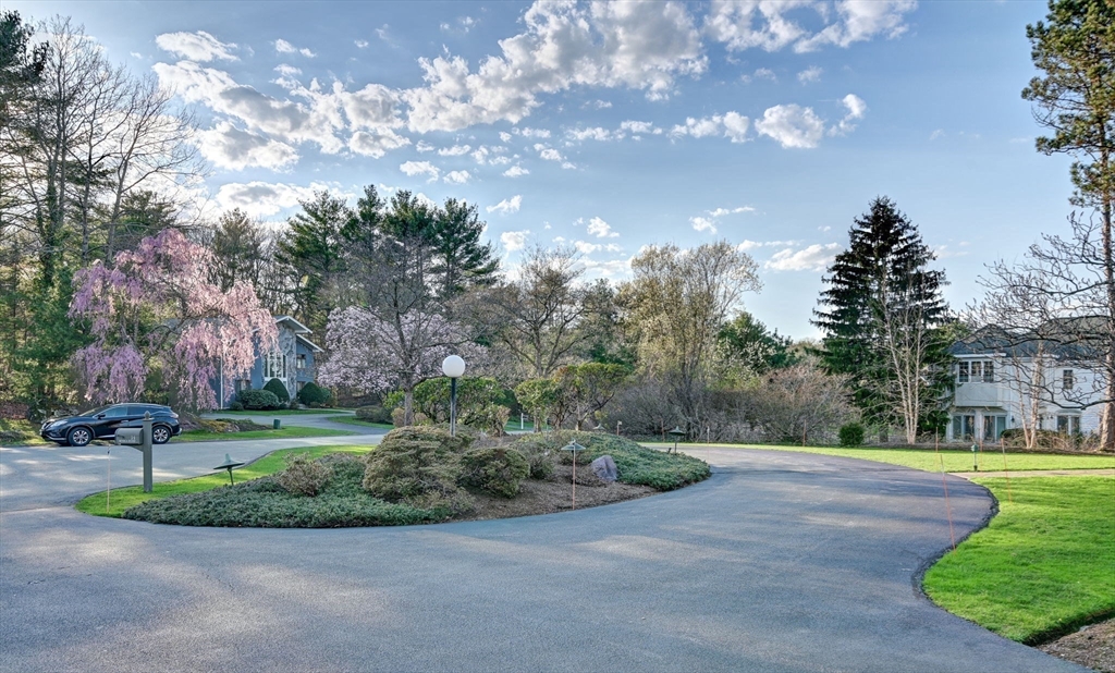 14 Seneca Road Canton, MA 02021 - Photo 4 of 42 a view of a park