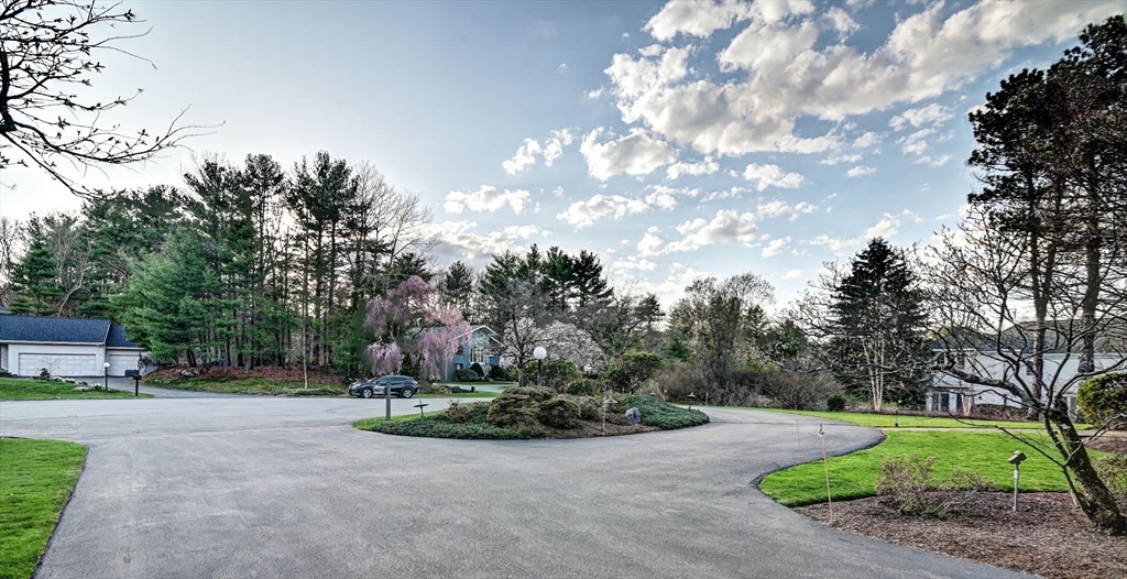 14 Seneca Road Canton, MA 02021 - Photo 5 of 42 a view of a garden with a fountain