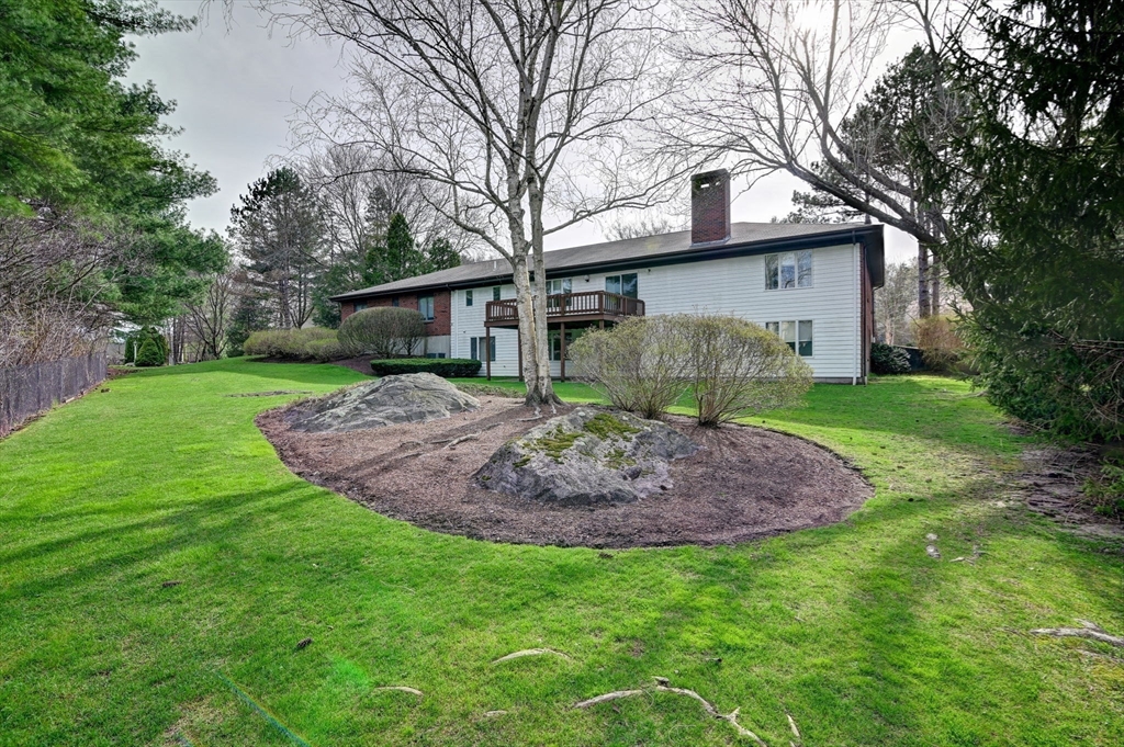 14 Seneca Road Canton, MA 02021 - Photo 6 of 42 a view of a house with a yard and large tree