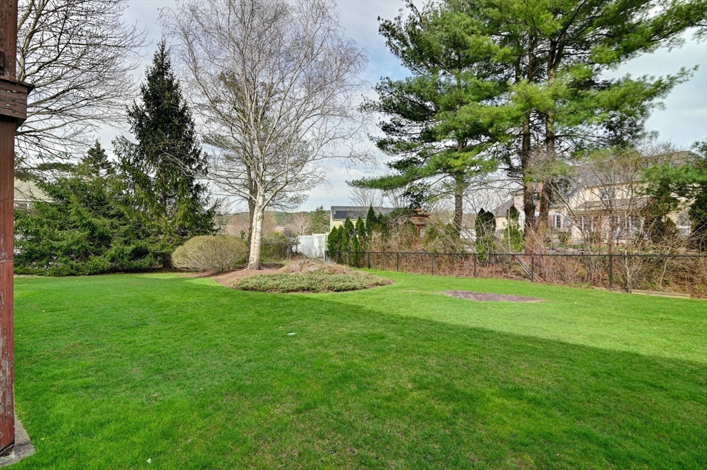 14 Seneca Road Canton, MA 02021 - Photo 7 of 42 a view of a backyard with large trees