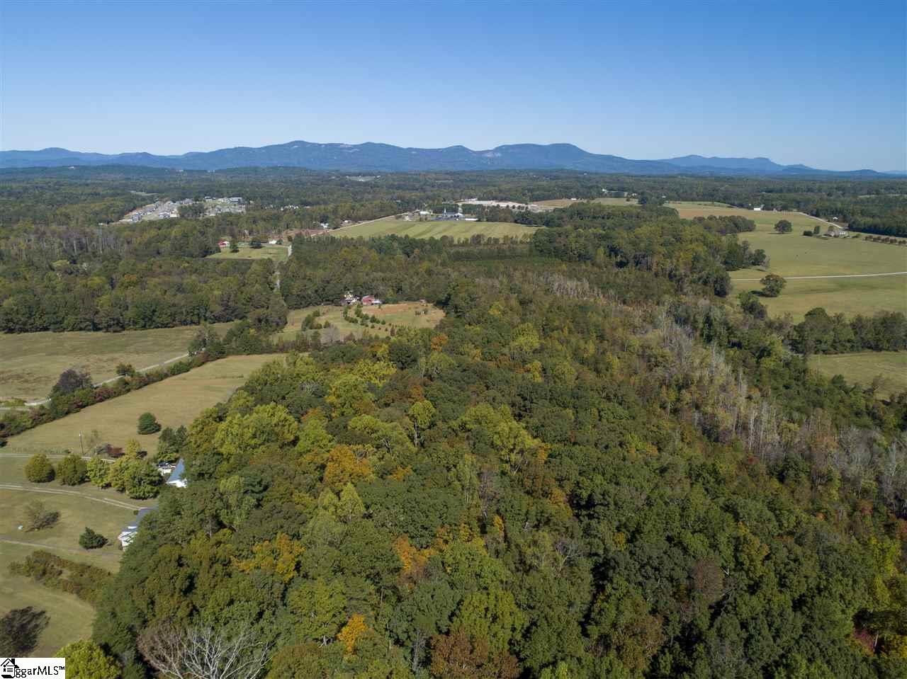0 Fate Dill Road, Unit TRACT 2 Greer, SC 29651 - Photo 2 of 4
