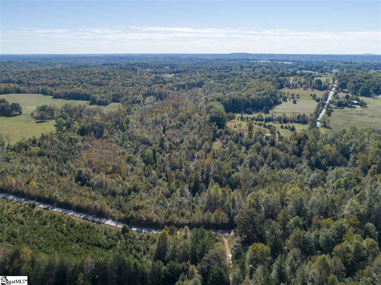 0 Fate Dill Road, Unit TRACT 2 Greer, SC 29651 - Photo 4 of 4