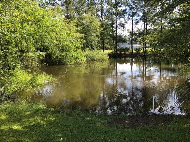 740 Friendship Road Reevesville, SC 29471 - Photo 17 of 28 IMG_7246