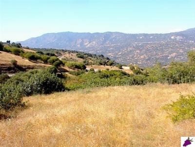 796 Sundew Road Squaw Valley, CA 93675 - Photo 3 of 5 Gallery Image 3