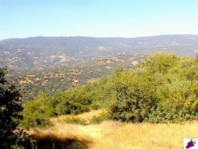796 Sundew Road Squaw Valley, CA 93675 - Photo 5 of 5 Gallery Image 5