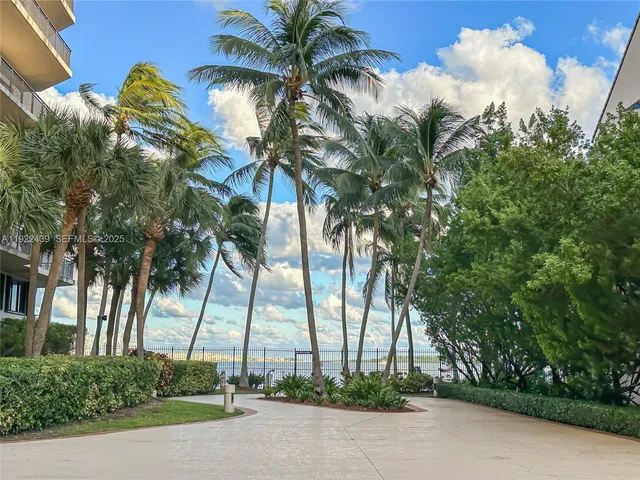 a view of a palm tree next to a yard
