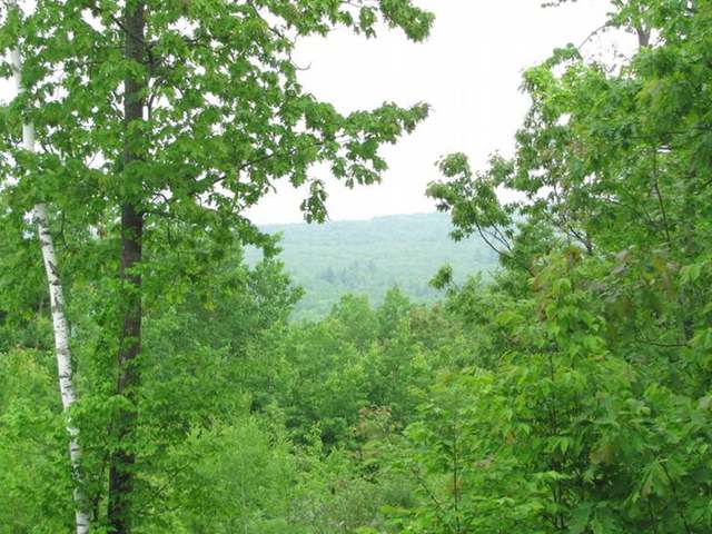 Lot 7 Island View Road Bayfield, WI 54814 - Photo 3 of 10 Gallery Image 3