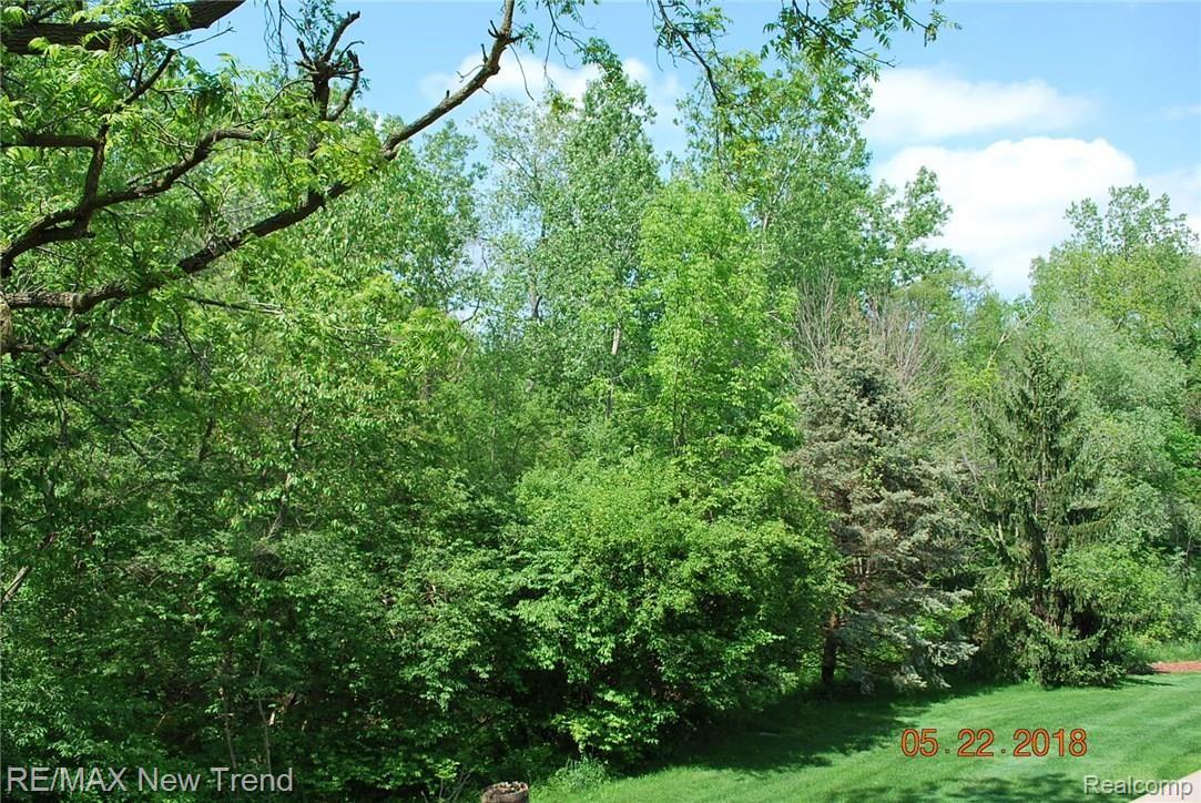 22210 River Ridge Trail, Unit 46 Farmington, MI 48335 - Photo 22 of 26 DSC_0006.JPG