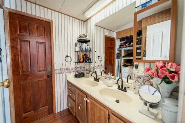 a bathroom with a sink vanity and a mirror
