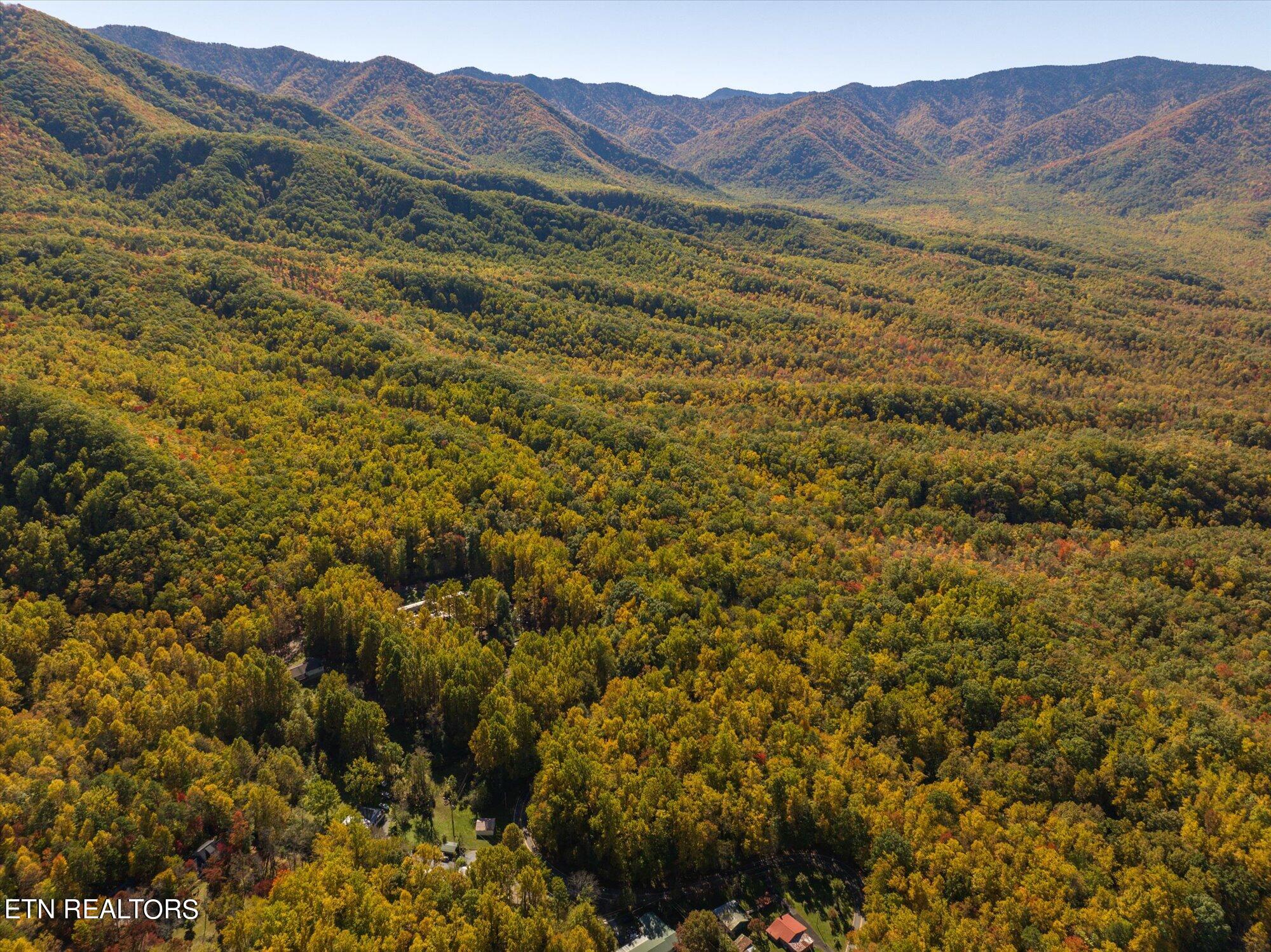 Laurel Way Cosby, TN 37722 - Photo 13 of 23 14-General-14