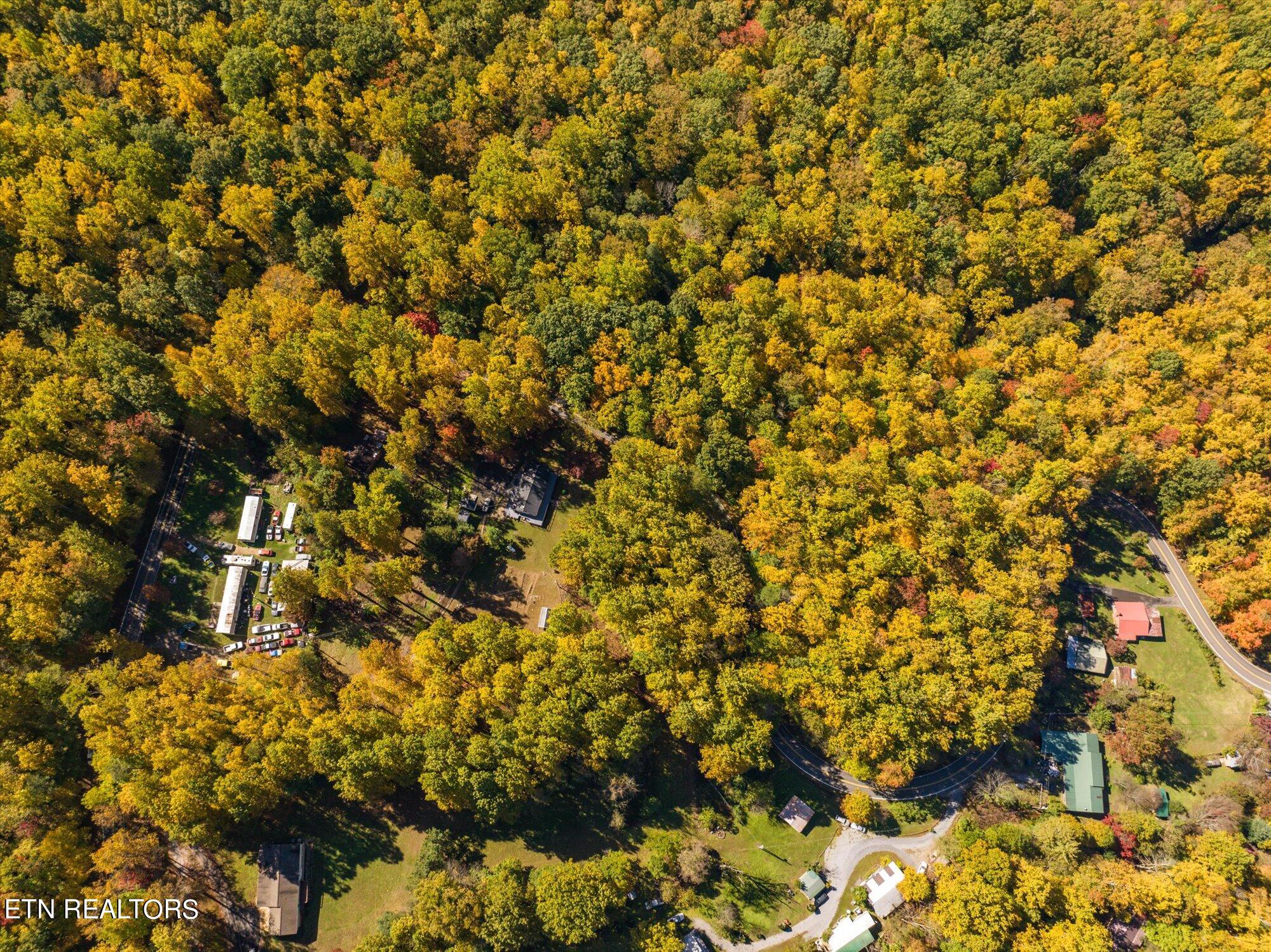 Laurel Way Cosby, TN 37722 - Photo 18 of 23 19-General-19
