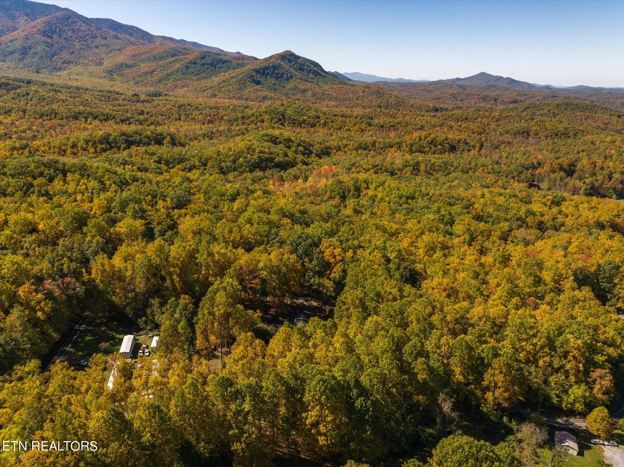 Laurel Way Cosby, TN 37722 - Photo 19 of 23 20-General-20