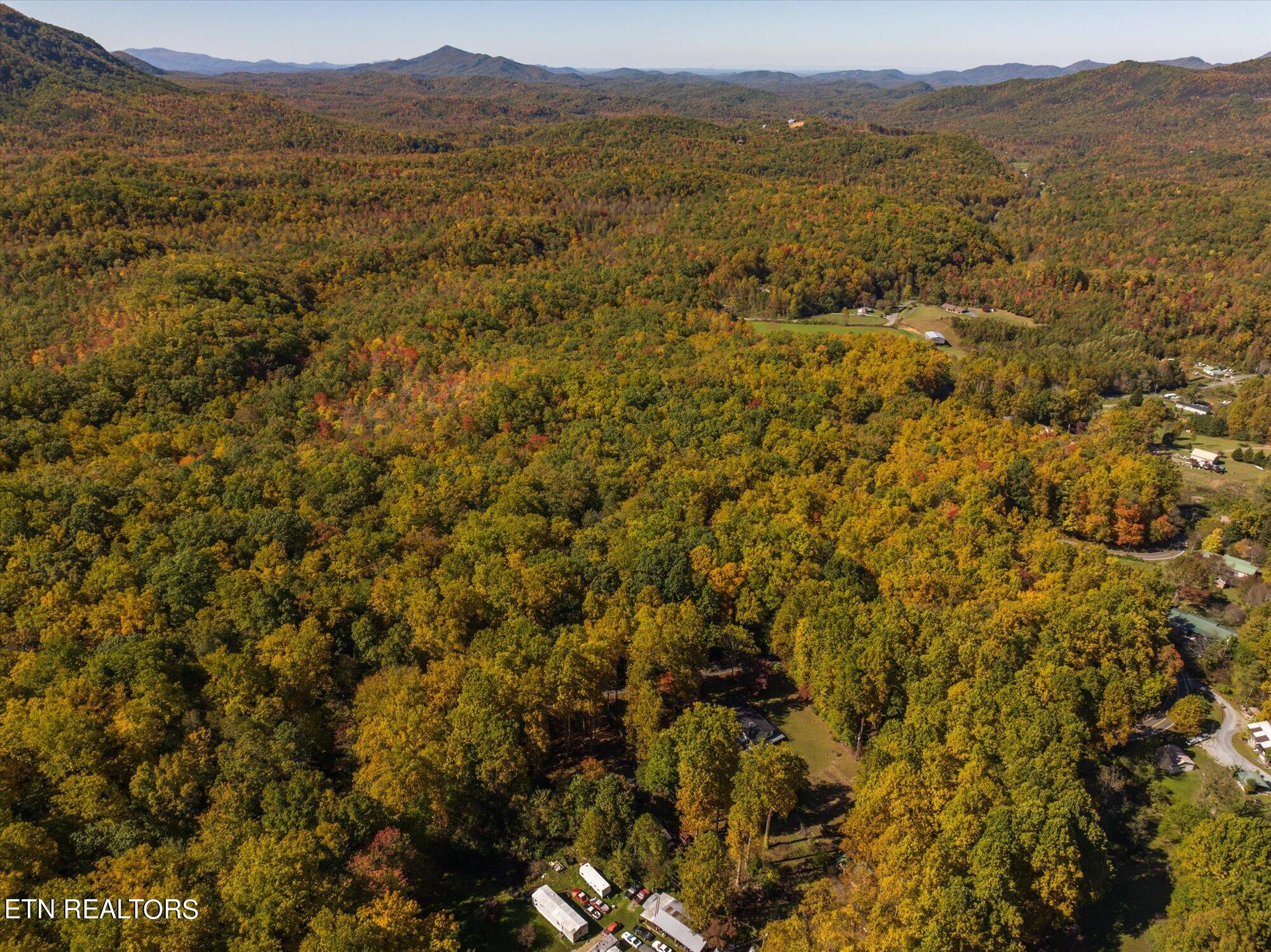 Laurel Way Cosby, TN 37722 - Photo 20 of 23 21-General-21