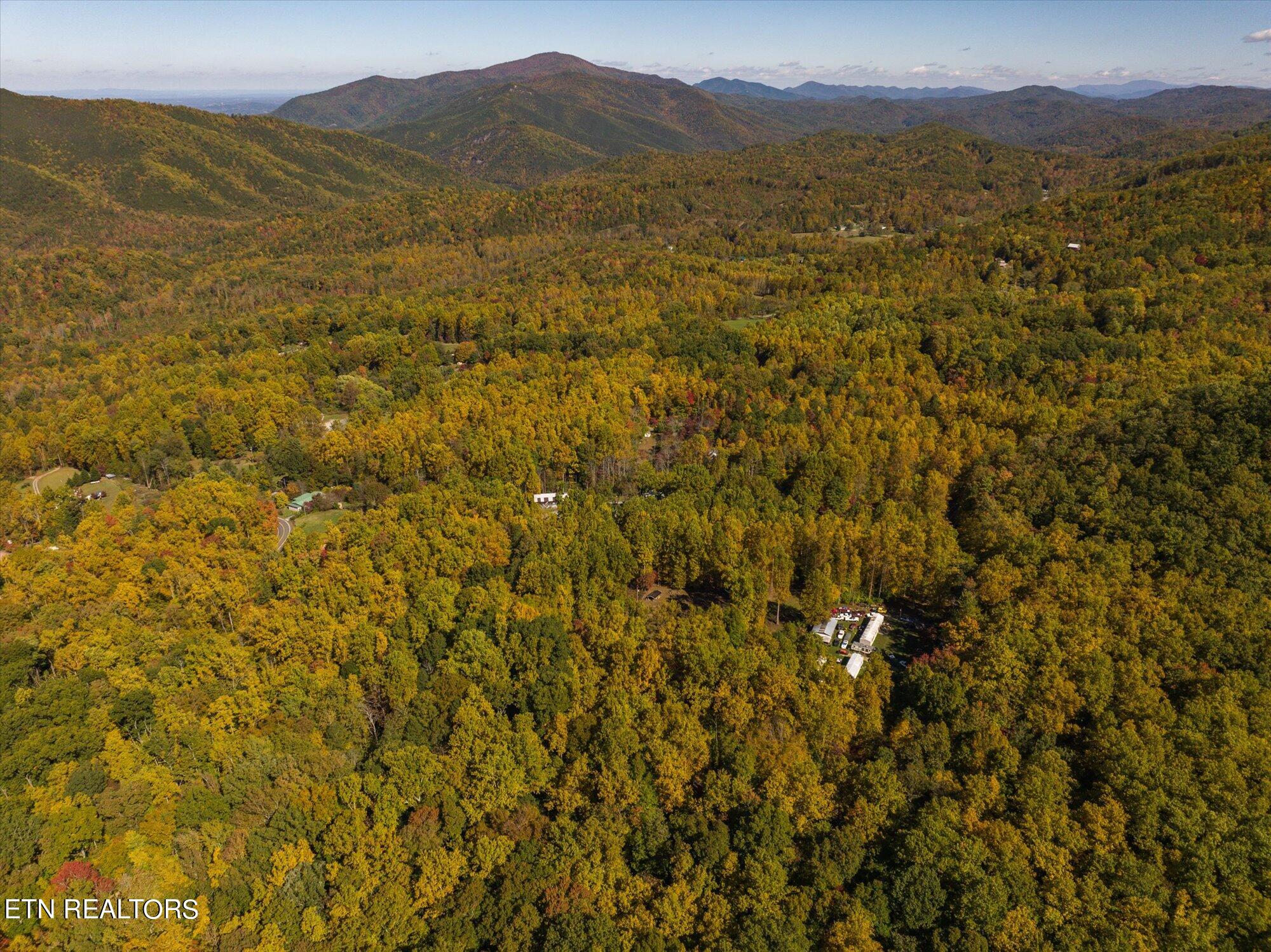 Laurel Way Cosby, TN 37722 - Photo 2 of 23 02-General-2