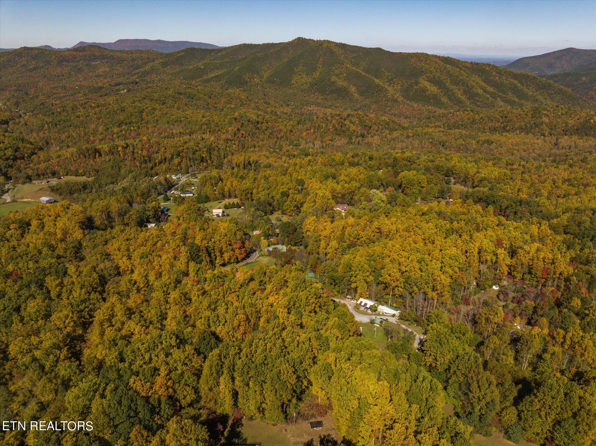 Laurel Way Cosby, TN 37722 - Photo 21 of 23 22-General-22