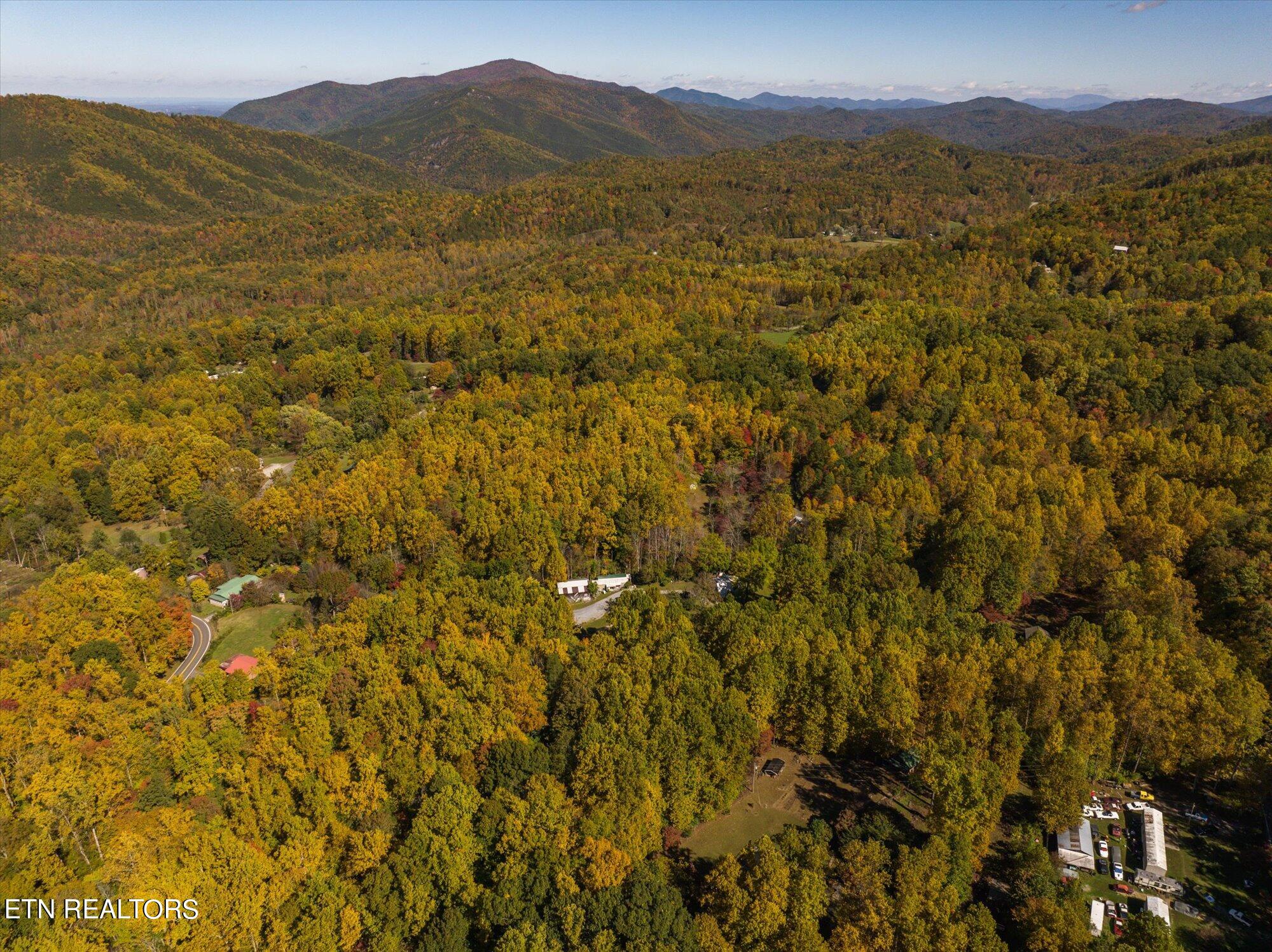 Laurel Way Cosby, TN 37722 - Photo 22 of 23 23-General-23