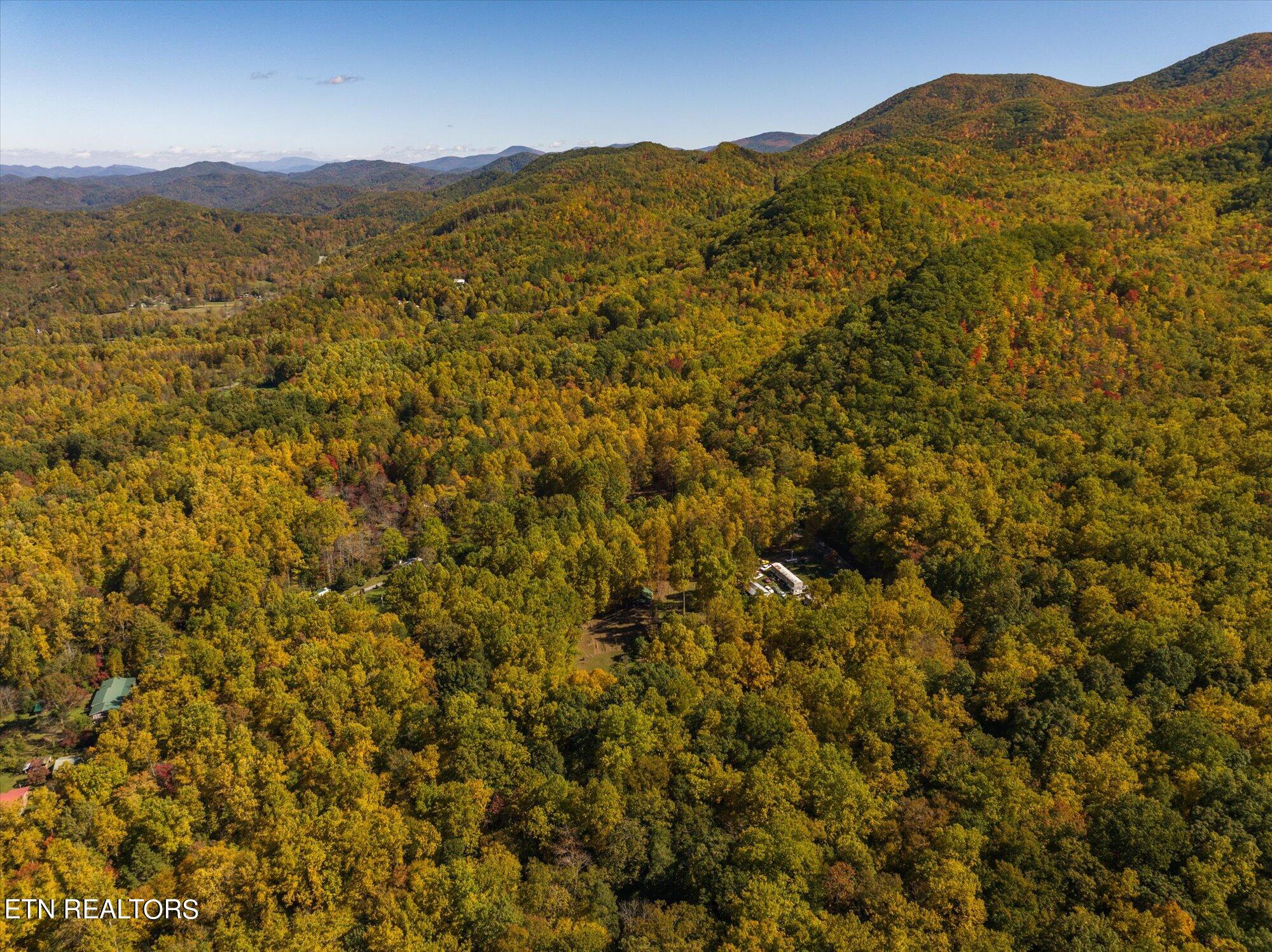 Laurel Way Cosby, TN 37722 - Photo 23 of 23 24-General-24