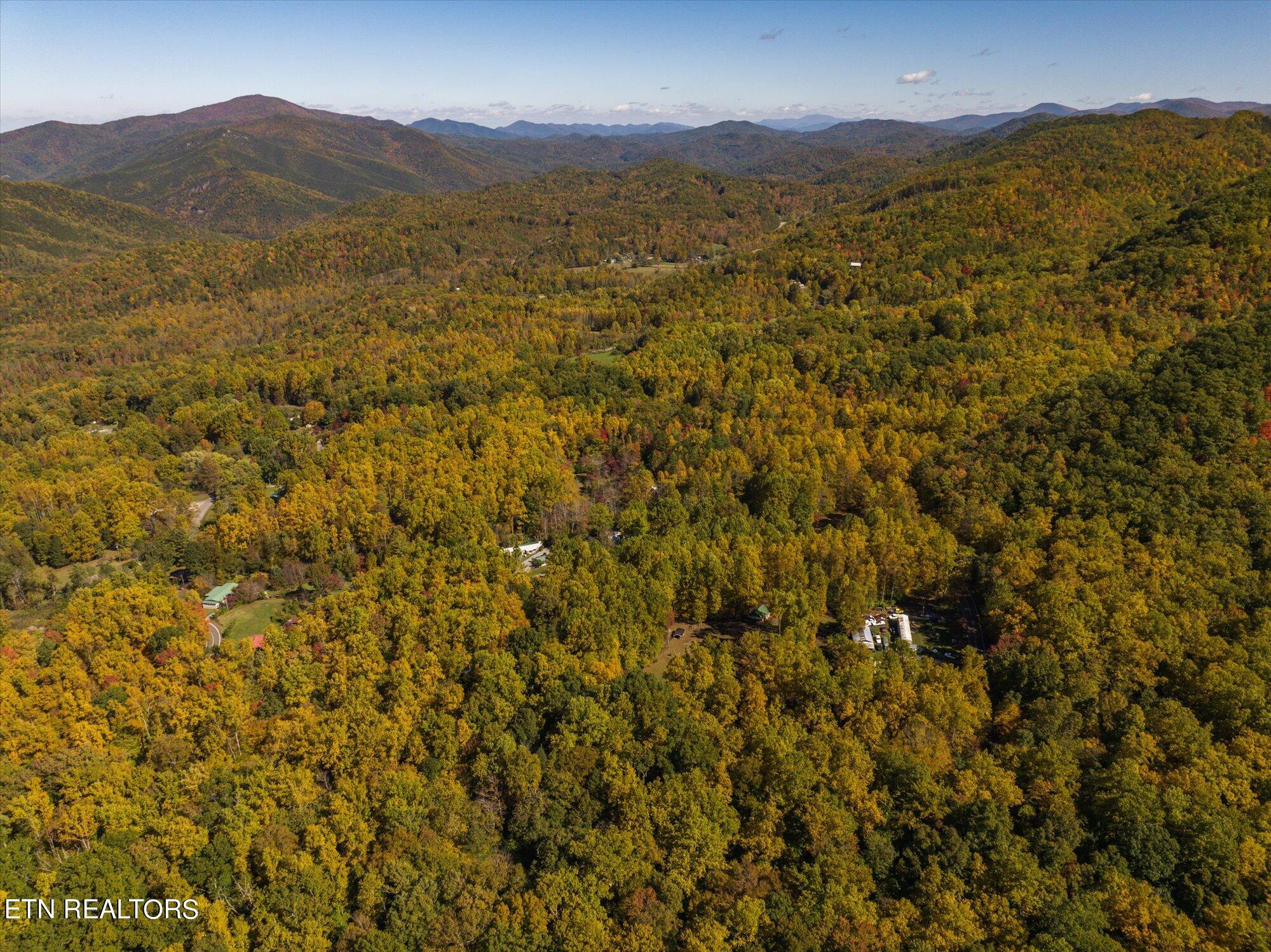 Laurel Way Cosby, TN 37722 - Photo 3 of 23 03-General-3