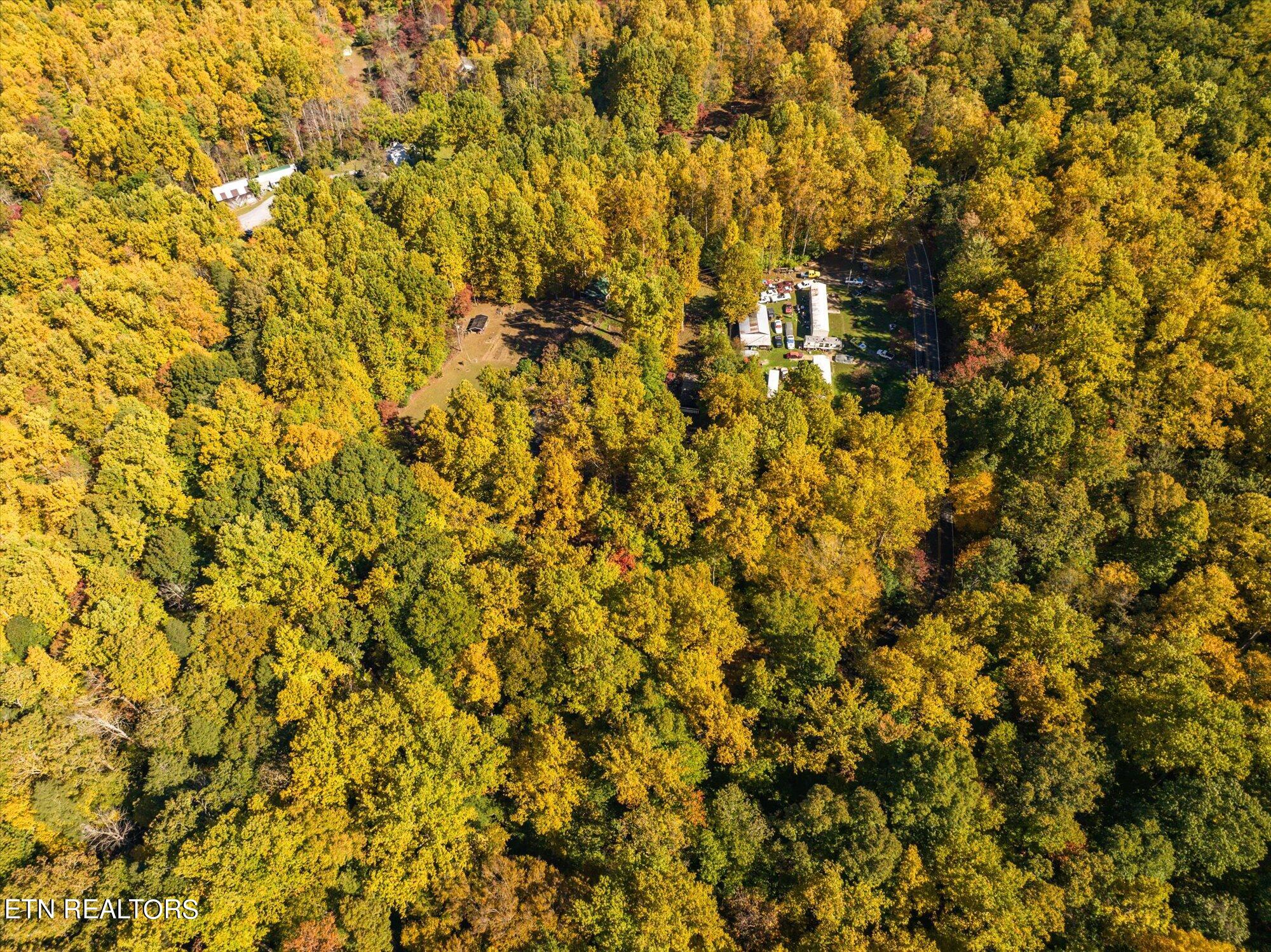 Laurel Way Cosby, TN 37722 - Photo 5 of 23 05-General-5