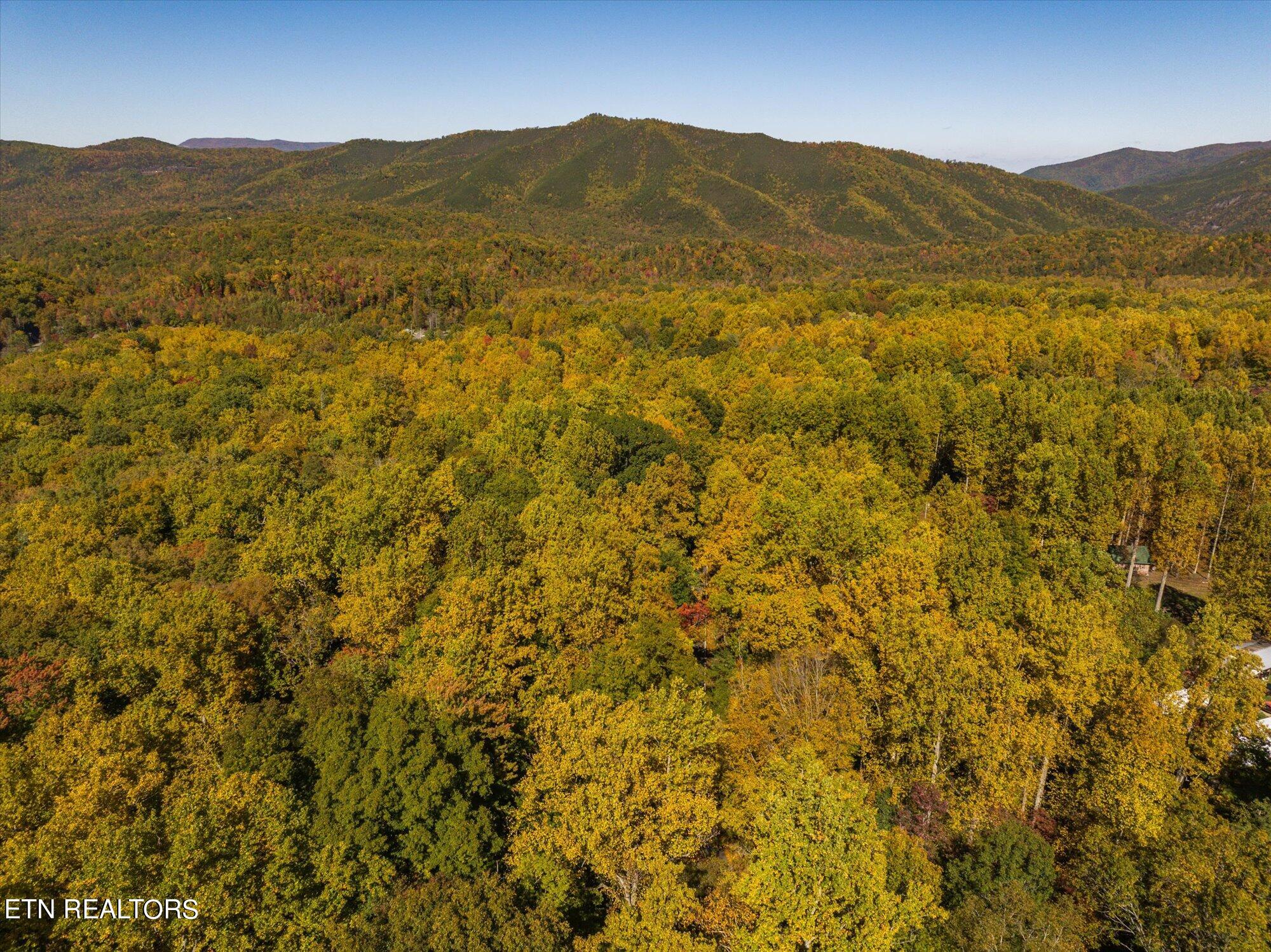 Laurel Way Cosby, TN 37722 - Photo 6 of 23 06-General-6