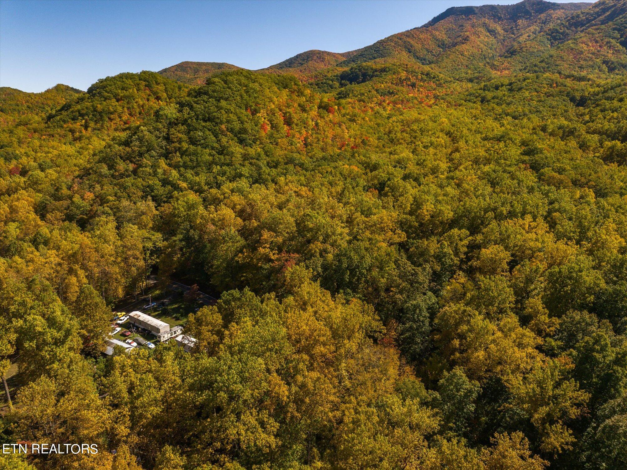 Laurel Way Cosby, TN 37722 - Photo 7 of 23 07-General-7