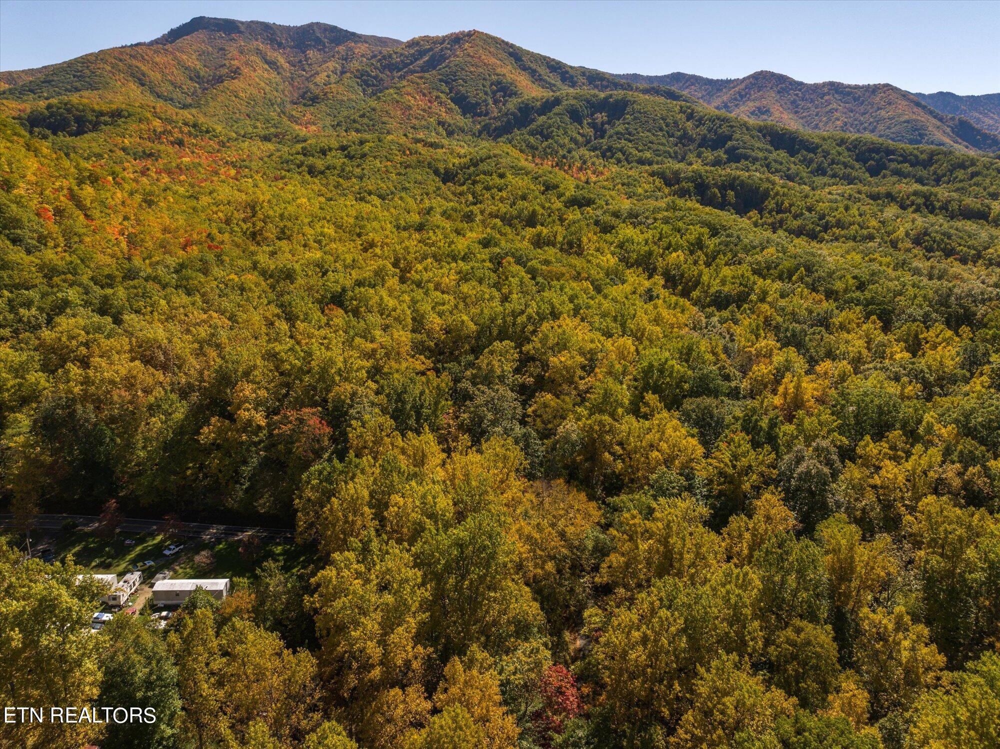 Laurel Way Cosby, TN 37722 - Photo 8 of 23 08-General-8